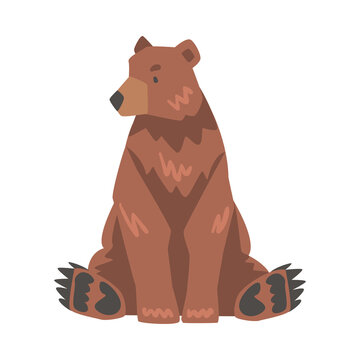 Front View of Sitting Brown Bear, Large Wild Predator Mammal Animal Cartoon Vector Illustration