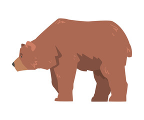 Large Brown Bear, Side View of Wild Predator Mammal Animal Cartoon Vector Illustration
