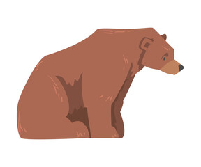 Obraz na płótnie Canvas Sitting Brown Bear, Side View, Large Wild Predator Mammal Animal Cartoon Vector Illustration