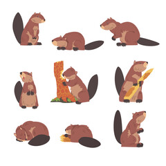 Cute Brown Beavers Set, Wild Rodent Animal in Different Poses Cartoon Vector Illustration © topvectors