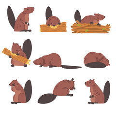 Cute Brown Beavers Set, Wild Rodent Animals Cartoon Vector Illustration © topvectors
