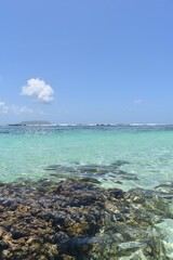 Océan avec une eau limpide dans le nord de la Guadeloupe 