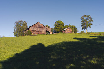 Abandoned farm with collapsing barn in summer.