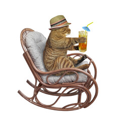 A beige cat in a wooden rocking chair is drinking juice with ice. White background. Isolated.