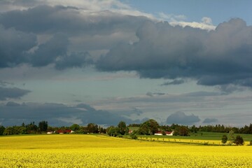 Countryside, fields up yellow canola and a small village before the storm