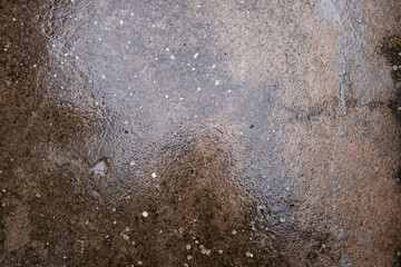 wet cement texture for background