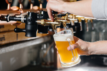 Close-up of the bartender filling a mug of light beer. The bar counter in the pub.