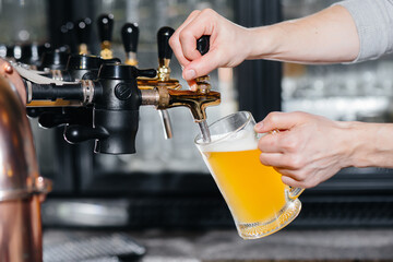Close-up of the bartender filling a mug of light beer. The bar counter in the pub.