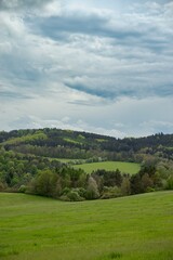 Fototapeta na wymiar landscape with grass and blue sky