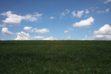 Green grass field  with white clould blue sky background, outdoor yard background