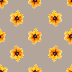 Seamless pattern of yellow tulips on a gray background. Photo collage. Floral background. 