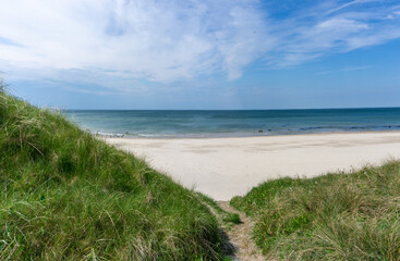 hiking trail leads through tall grassy sand dunes to a secluded and empty white sand beach with a calm turquoise ocean behind