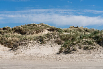view of tall sand dunes covered in reeds and grasses under a blue sky