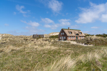 traditional Danish houses with thatched reed roof in a coastal sand dune landscape