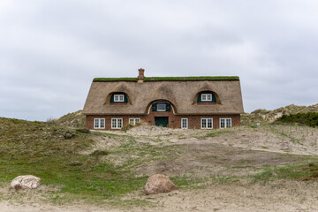 traditional Danish house with thatched reed roof in a coastal sand dune landscape
