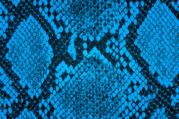 Blue snake skin background. Blue python leather as background.