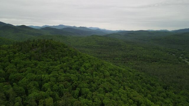 Tree Covered Peak