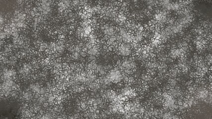 black and white mold