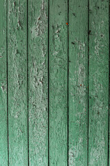 Wood texture covered with peeling green paint