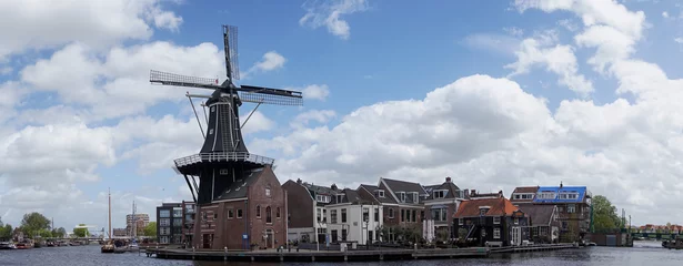 Deurstickers panorama view of the Dee Adrian Windmill and Binnen Spaarne River in Haarlem © makasana photo