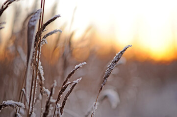 Fototapeta premium landscape ice sunset pink sunset