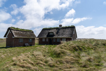 Fototapeta na wymiar traditional Danish houses with thatched reed roof in a coastal sand dune landscape
