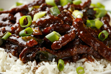Mongolian beef stewed in dark soy sauce with spices. Asian style food