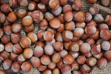 Hazelnuts spilled on a burlap sack