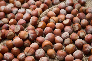 Ripe hazelnuts sprinkled on a burlap sack, a perfect snack