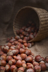 A basket lying on a surface covered with a jute sack from which hazelnuts spill out