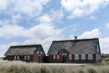 Fototapeta na wymiar traditional Danish house with thatched reed roof in a coastal sand dune landscape