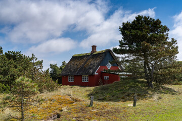 Obraz premium traditional Danish house with thatched reed roof in a coastal sand dune landscape