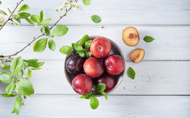 a few juicy red plums in bowl  with branch blossom flowers on a white  wood background. Top view...