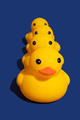 yellow duck