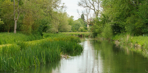 Fototapeta na wymiar a scenic view along the world heritage site river avon in Wiltshire
