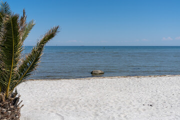Fototapeta na wymiar view of the beautiful white sand Palm Beach in Frederikshavn