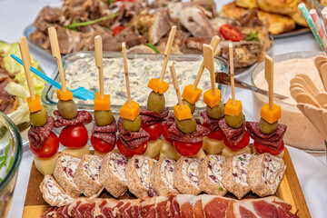 Delicious appetizer on the table