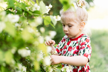Happy little girl in summer in flowers, portrait of a blonde girl in nature