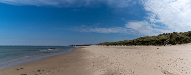 panorama landscape with wooden stairs leading over tall grassy sand dunes onto an empty picturesque golden sand beach