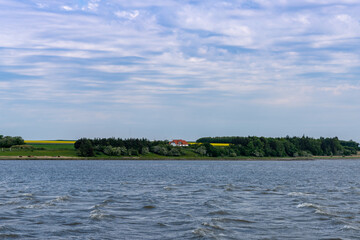 beautiful Danish countryside on the Limfjord with a secluded farm and green and yellow fields © makasana photo