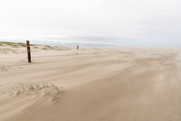 beautiful idyllic beach with grasses and wooden post and strong wind whipping sand along