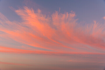 Fototapeta premium sunset in the sky