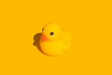 yellow rubber duck