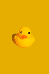 yellow rubber duck