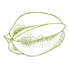 Outline Illustration with the images of carambola. 
Contour fruits logo or icon for your design. Doodle style