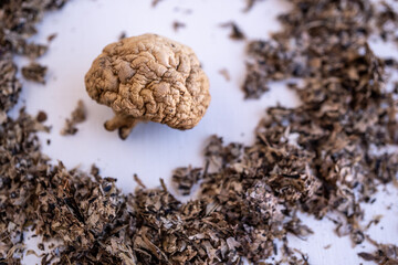 Champiñón seco rodeado por hojas de té secas