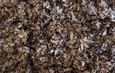 montón de hojas de té seco, detalle, macro