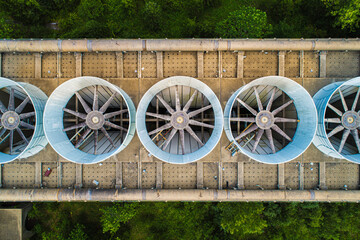 Abandoned Nuclear Power Plant Cooling Towers in the Forest
