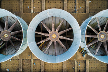 Abandoned Nuclear Power Plant Cooling Towers in the Forest