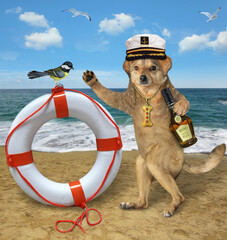 A beige dog captain in a sailor hat with a bottle of rum stands near a lifebuoy by the sea.